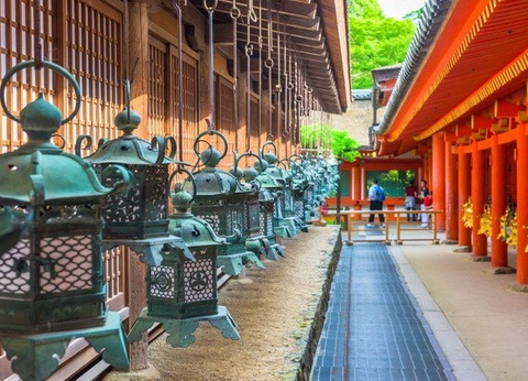 Samourais et Jardins zen - Japon - 24