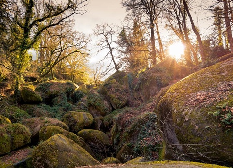 Camping La Riviere D'Argent, 3* - 16