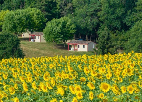 La Forêt Enchantée, 3* - 11