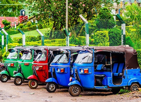 Circuit Le Sri Lanka, pays de l'Or Vert - 6
