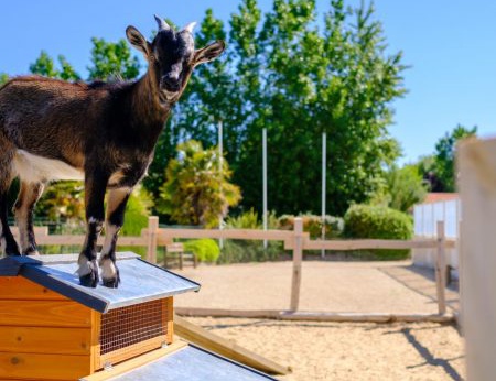 Camping Le Grand Pré 2* - 16