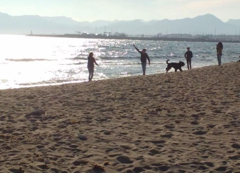 Camping Platja Cambrils, 3* - 119