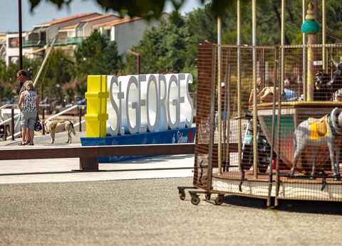 Camping Les Catalpas de Royan, 3* - 16