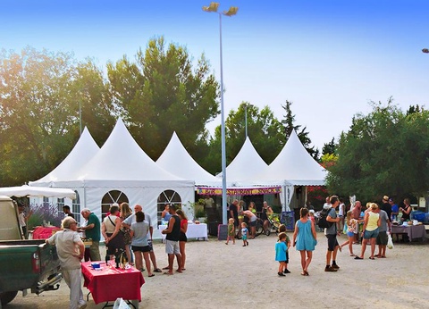 Camping Fontisson, 3* - 41