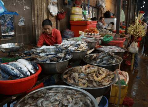 Circuit Lotus du Cambodge et plage à Koh Rong Sanloem 4* - 23