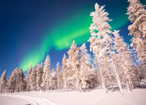 Club Jumbo Tankavaara Gold Village (activités incluses) - 2