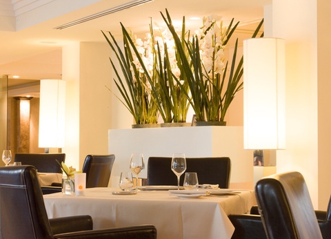 Hôtel Don César 5* (vols réguliers) - 4