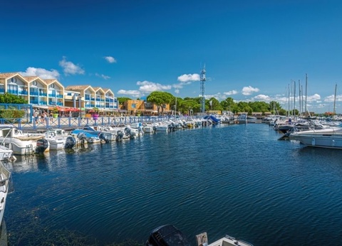 Camping L'Orée du Bois 4* - 43