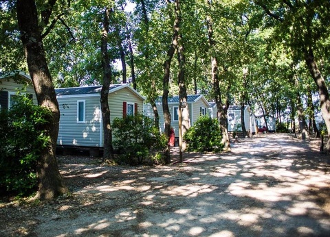 Camping Le Bois Des Ecureuils - 11