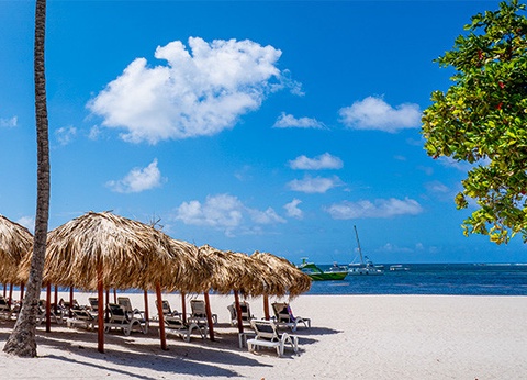 Club Framissima Évasion Bakour Punta Cana Suites ***** - 29