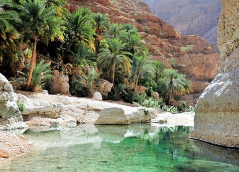 Circuit Toutes les richesses d'Oman - 7