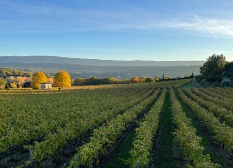 Camping Le Luberon | Pausado, 4* - 39