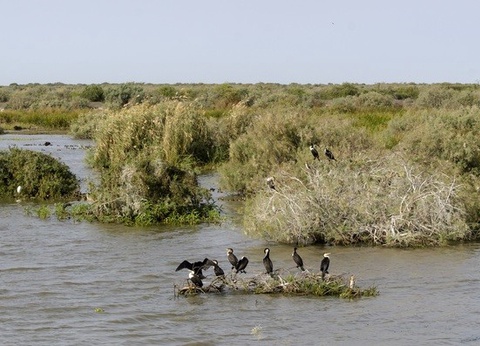 Circuit Trésors du Sénégal - 7