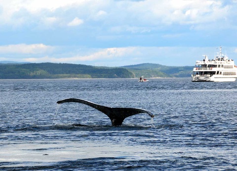 Circuit Regard sur le Canada - 9