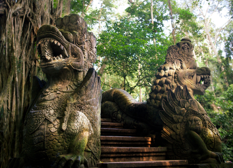 Combiné Rizières et Plage sur l'île des Dieux - 12