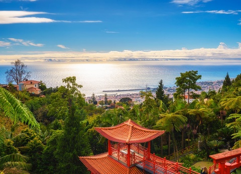 Hôtel Alto Lido 4* - 16