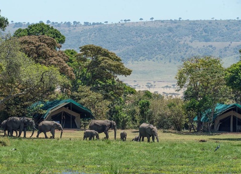 Hôtel Severin Sea Lodge 4* - 25