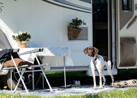 Baia Holiday Gasparina, 4* - 37