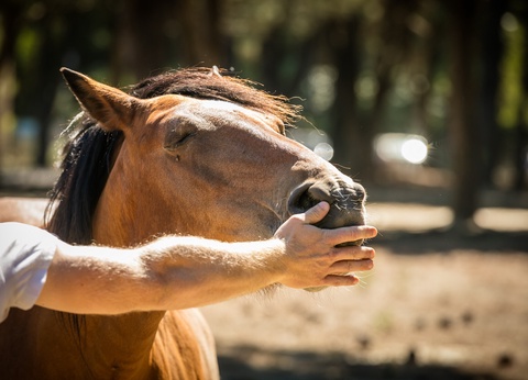 Camping Le Sainte Marie 4* - 11