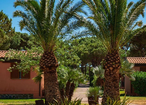 Gitavillage Club degli Amici - 35