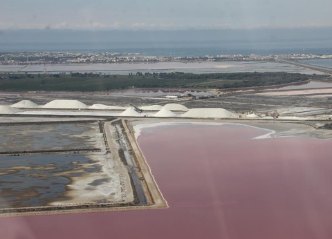 Camping Abri de Camargue, 4* - 86