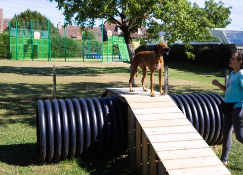 Camping Le Ventoulou, 4* - 21