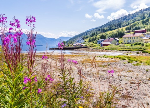 Circuit Vision Magique des Grands Fjords Norvégiens - 25