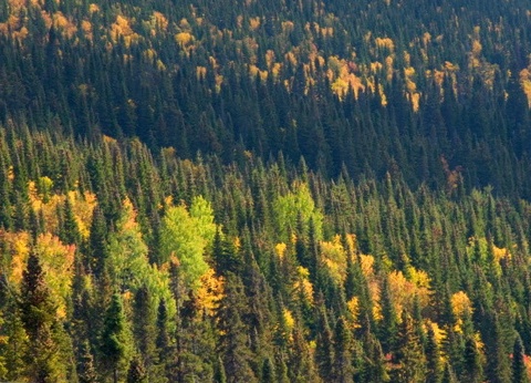 Circuit Tout l'Est Canadien, de l'Ontario à la Gaspésie - 15