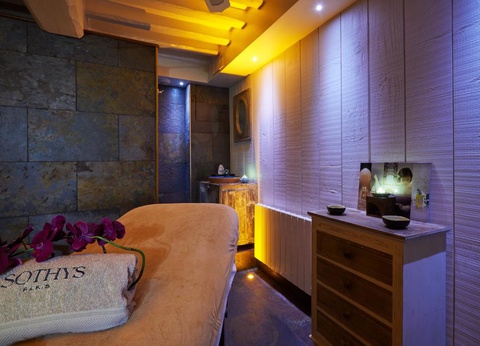 Hôtel & Spa Le Lion d'Or 3* - 8