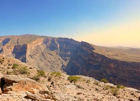 Circuit Des côtes omanaises à la démesure de Dubaï - 14