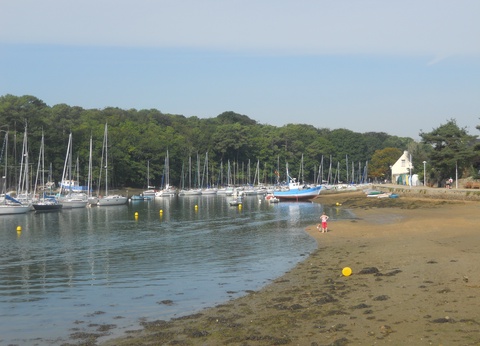 Camping Moulin de Cantizac 3* - 7