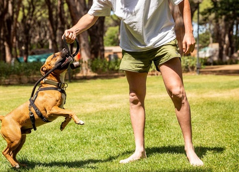 Gitavillage Le Marze - 31