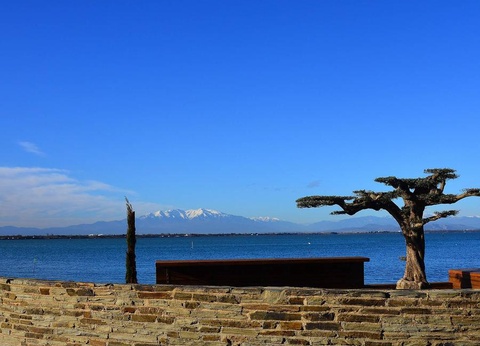 Camping Oasis et California, 4* - 18