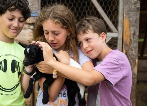 Camping Les Lacs d'Armagnac, 4* - 13