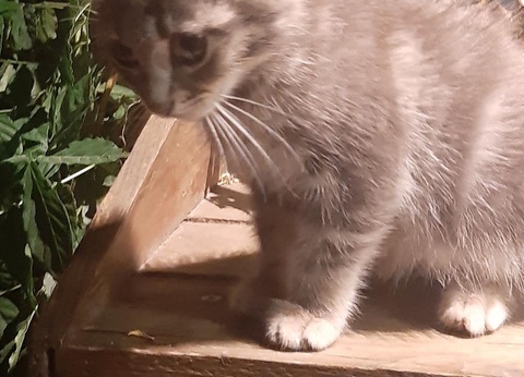 Camping Ushuaïa Villages Le Viaduc, 3* - 50