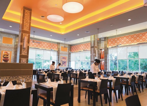 Hôtel Riu Playacar 5* - 6