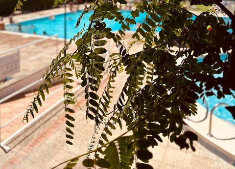 Camping Playa Y Fiesta - 8