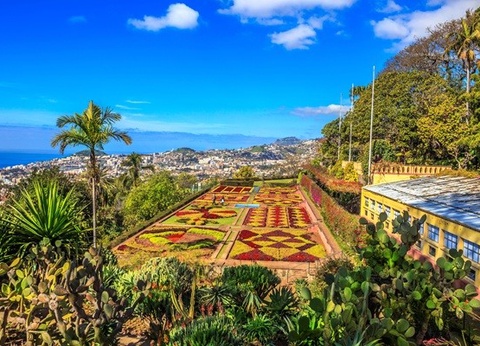 Circuit Madère Authentique : entre falaises et levadas *** - 6
