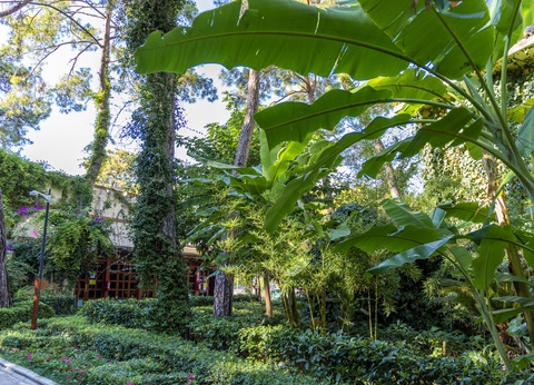 Hôtel Ulusoy Kemer Holiday Club 5* - 17