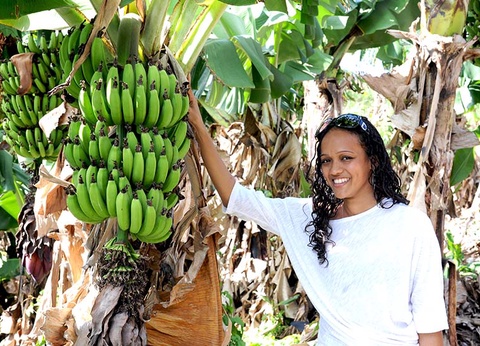 Les Antilles, la Caraïbe Française - 6