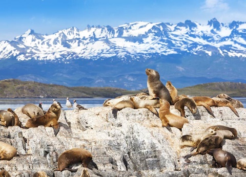L'Argentine et le Brésil, d'Ushuaia à Rio de Janeiro (petit groupe 2-16 pers.) - 6