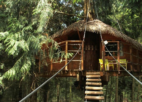 Camping Les Ormes Domaine et Resort 5* - 53