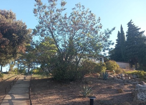 Camping Le Pinada, 3* - 25