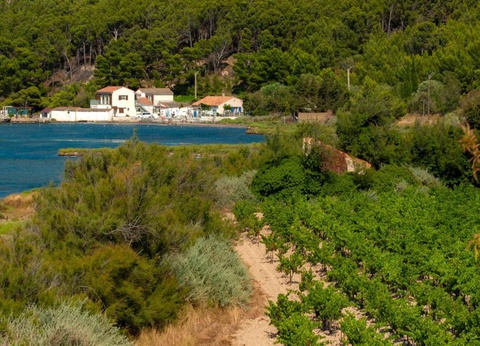 Camping Ensoya, 3* - 13