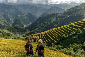 Tonkin Hors Sentiers - Vietnam - 2