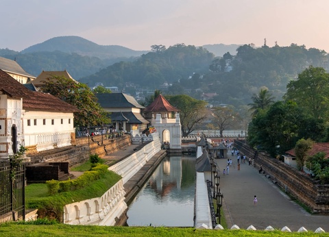 Circuit L'odyssée sri lankaise : l'île aux mille visages - 21