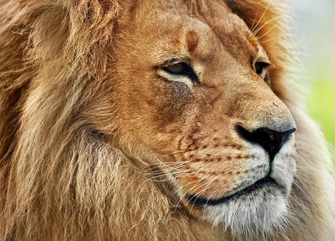 Circuit Sensations tanzaniennes - 13