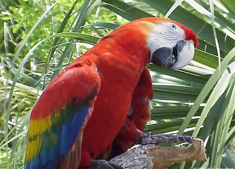 Road Trip Le Costa Rica en famille - 19