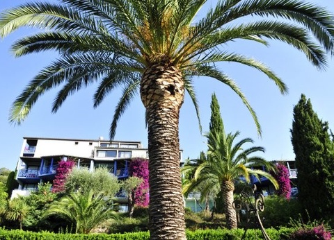 Club Jumbo Grasse 3* - 7