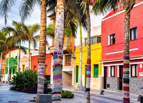 Circuit Trésors des Canaries 3* - 14